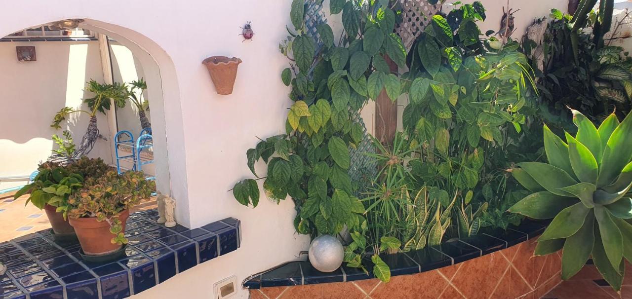 Villa Violetta Callao Salvaje Luaran gambar